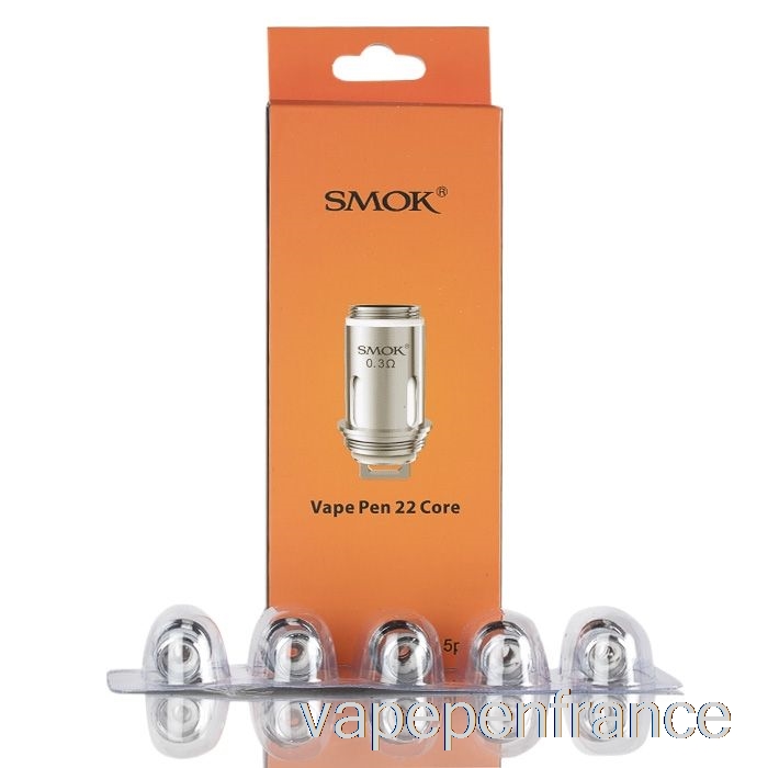 Stylo Vape Smok 22 Bobines De Remplacement Stylo Vape Double Cœur 0,3ohm